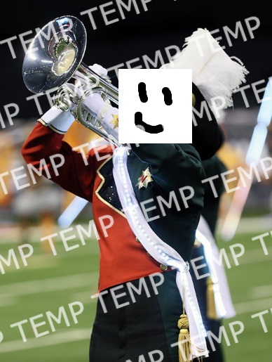 Action shot of a snare drummer