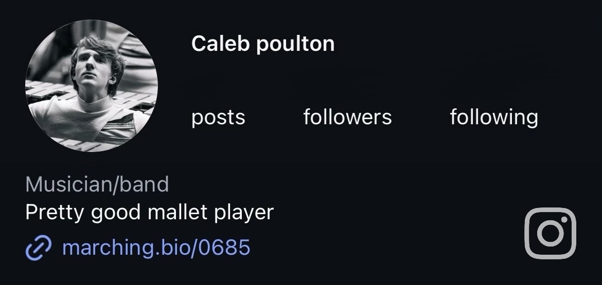 Insta bio using marching.bio
